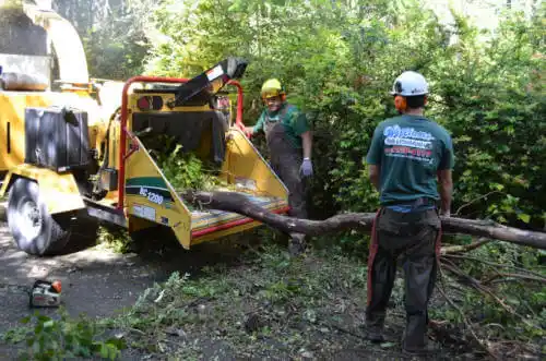 tree services Leadville